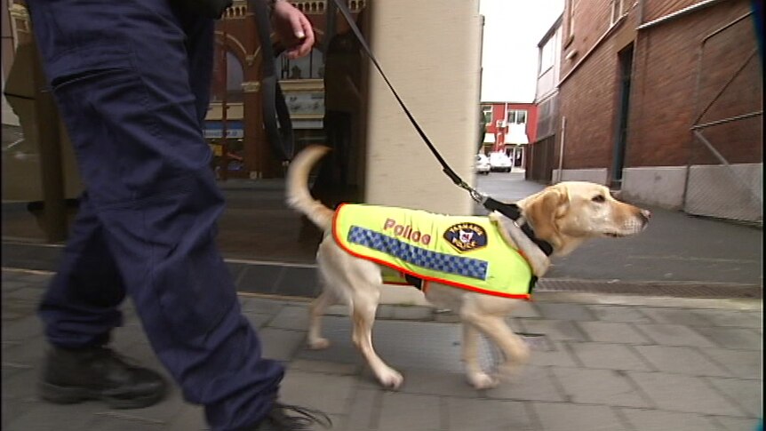 Police dog Tasmania