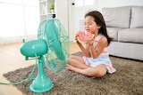 A girl cools off in front of a fan with a slice of watermelon.