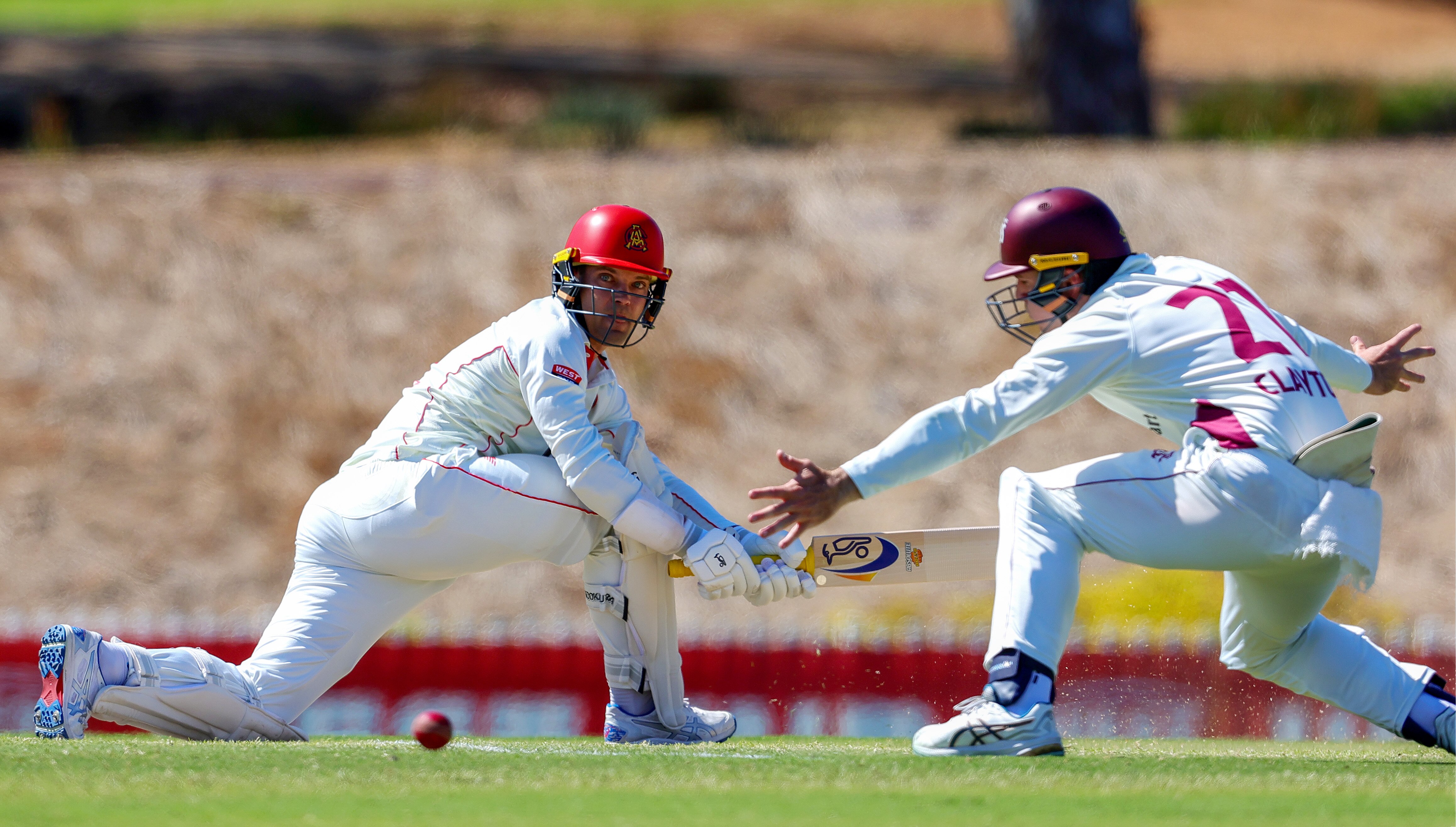 Sheffield Shield final live: South Australia bowling first against Queensland