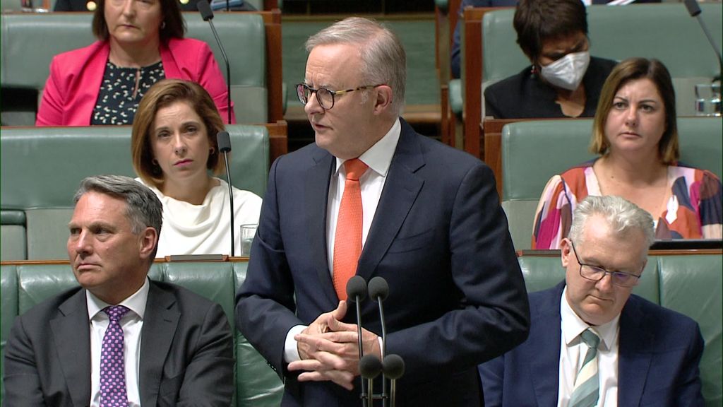 Anthony Albanese stands in Parliament in front of a microphone. 