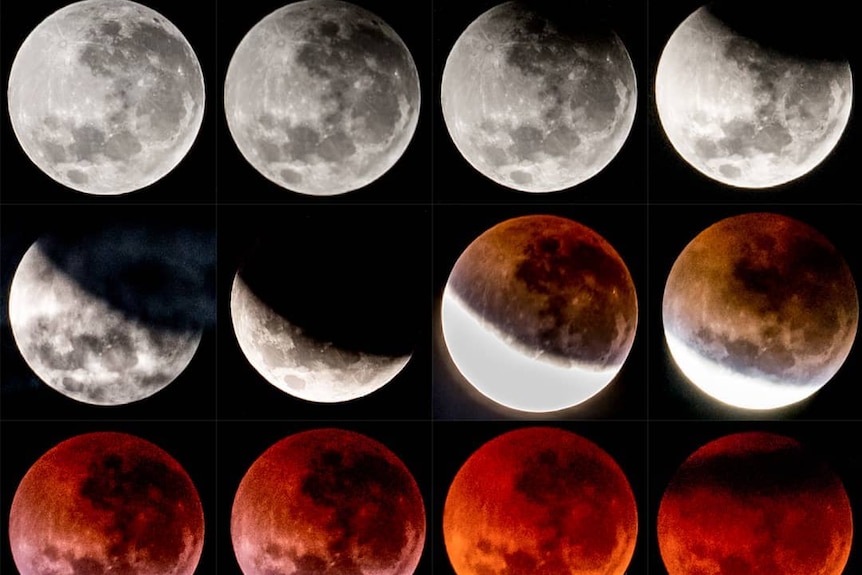 Stages of the lunar eclipse