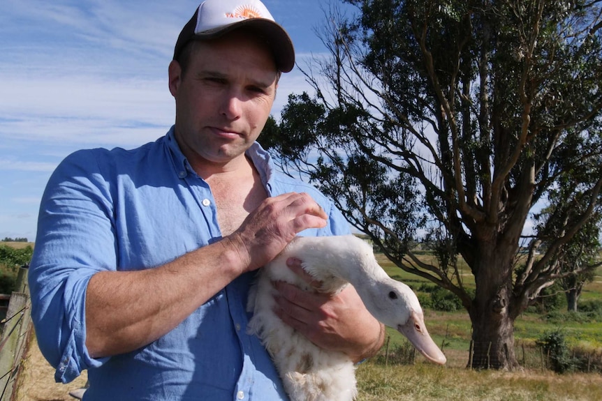 Man wearing a cap holding and patting a duck