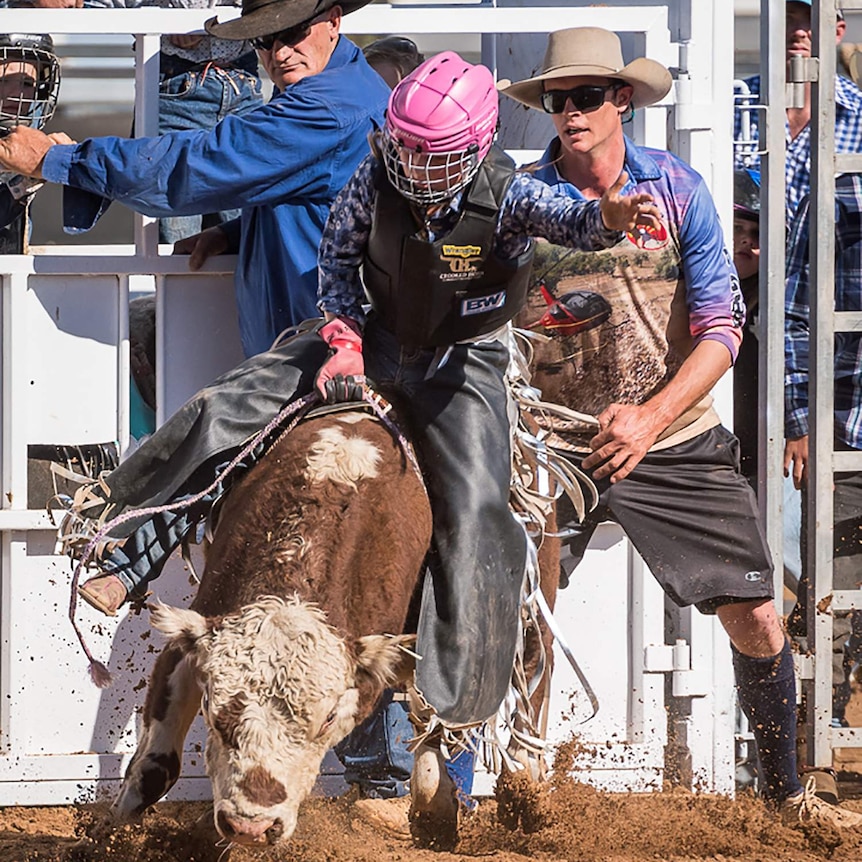 A bullrider in a pink helmet jumps out of the rodeo chute