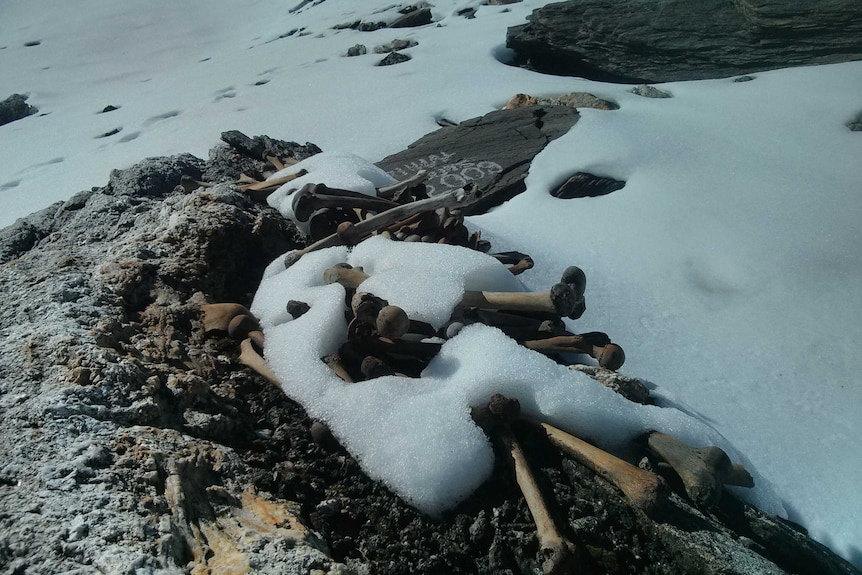 A skeleton in snow