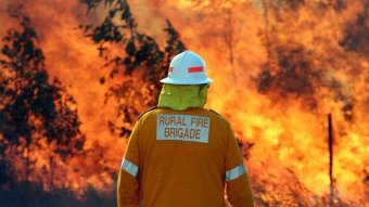 A man in a rural fire brigade jacket and helmet stands in front of a wall of flames.