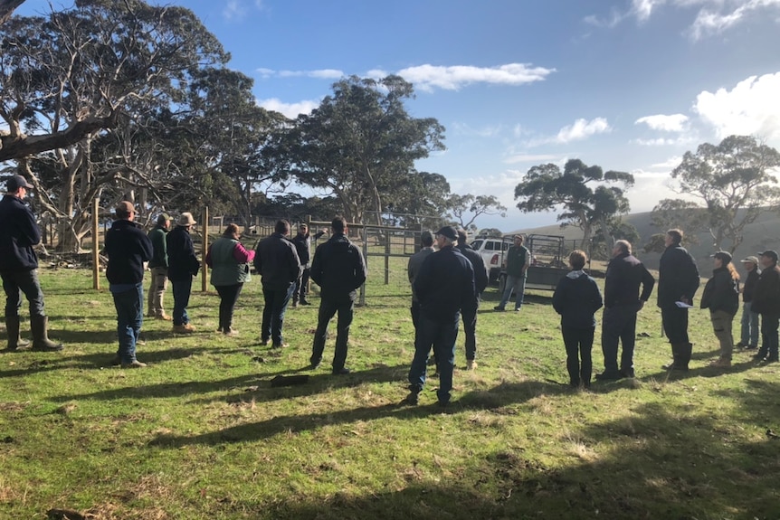 A group of farmers standing with their back to the camera, looking at an empty enclosure