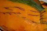 Resin canal within a mango