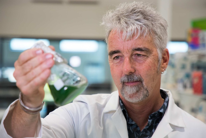 Cell biologist Ken Rogers wears a white lab coats as he examines green liquid in a beaker in a laboratory