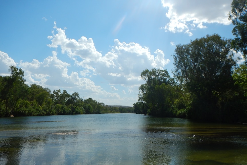 A wide river with bank of trees running along either side, with blue sky overhead.