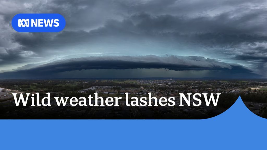 Wild weather leaves one dead, thousands without power in NSW - ABC News
