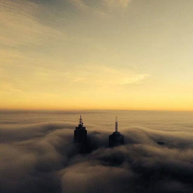 Highrise buildings poke out of fog