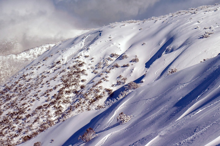 The side of a mountain covered in snow.