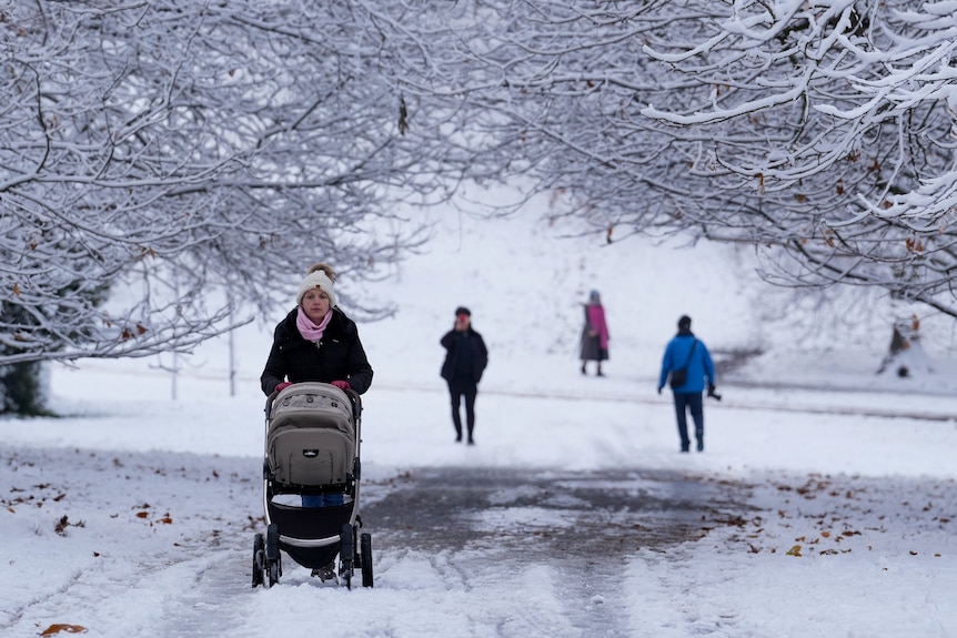 A woman dressed in a pink scarf and beanie pushes a pram as people walk behind her in a snow covered park.