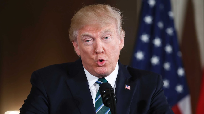 Donald Trump speaks during a news conference in Washington.