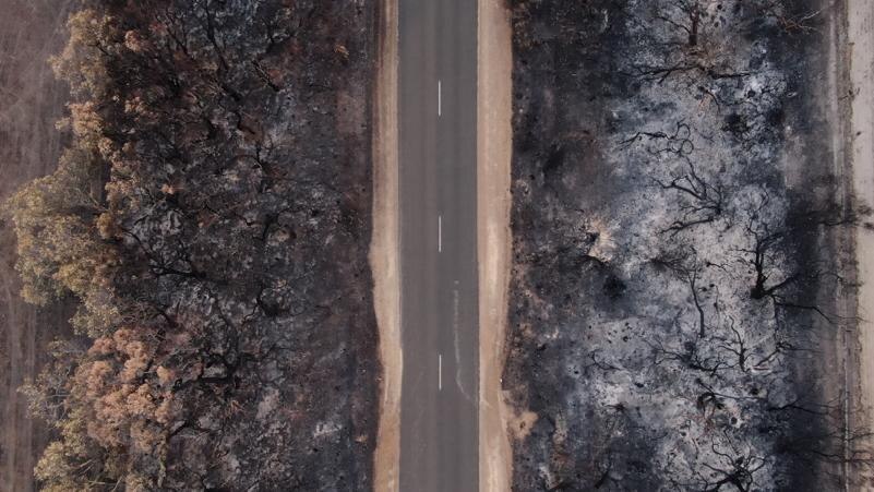 A road on Kangaroo Island with bushfire devastation either side.