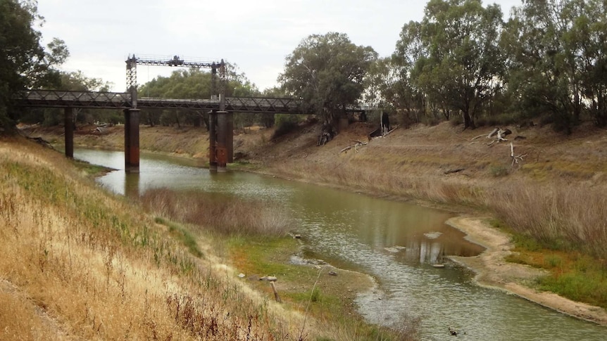 Wilcannia Bridge at Darling River