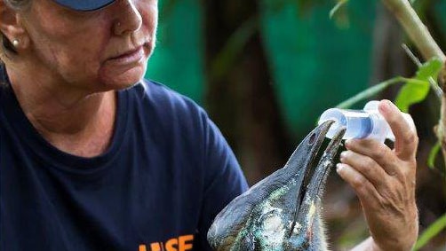 Woman wearing a cap and sunglasses feeding a cassowary.