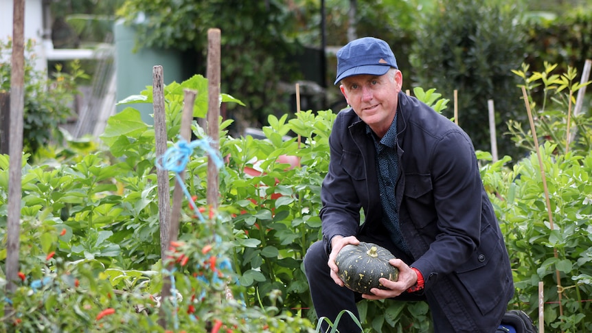 Conrad Denyer on bended knee holding a pumpkin in the Thirroul Community Garden.