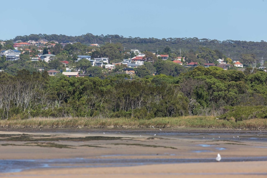 Dee Why Lagoon surrounded by housing