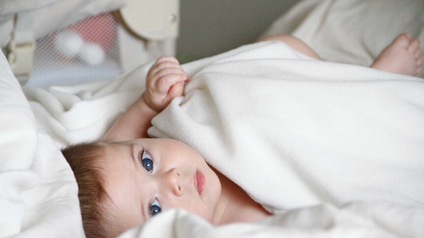 a blue eyed baby lies wrapped in a white blanket staring at the camera (and looking very sweet)