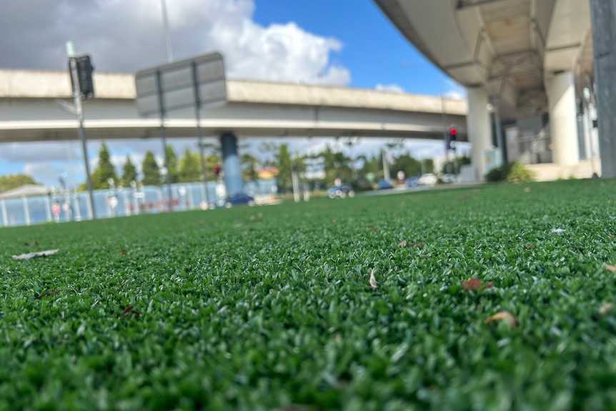 Petitioners say the artificial turf on median strips and traffic islands create heat and a barrier to a truly green city