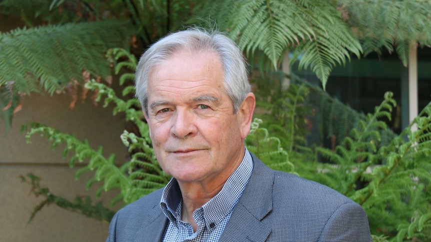 Forestry Tasmania chairman Bob Annells