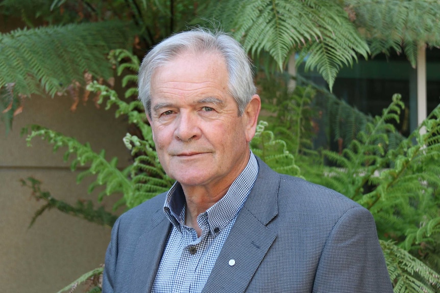 Forestry Tasmania chairman Bob Annells