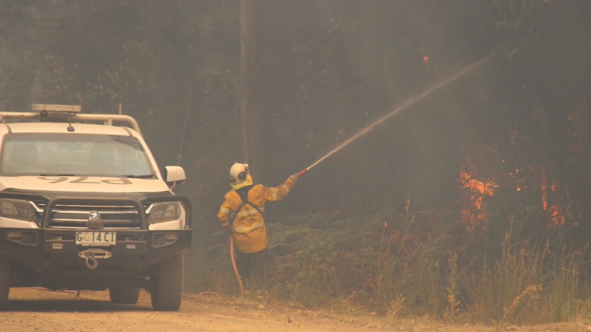 A firefighter points a hose at trees - flames are visible through the foliage