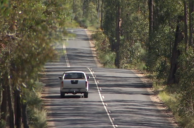 A bush road with a ute driving down it.
