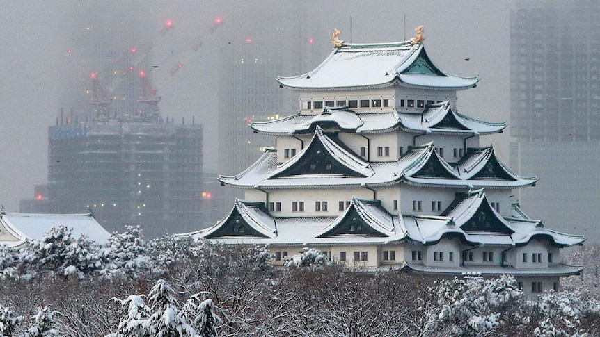 Japan's Nagoya castle covered with snow