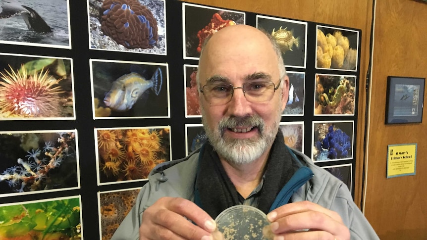 Jeff Weir holding a container of amphipods.