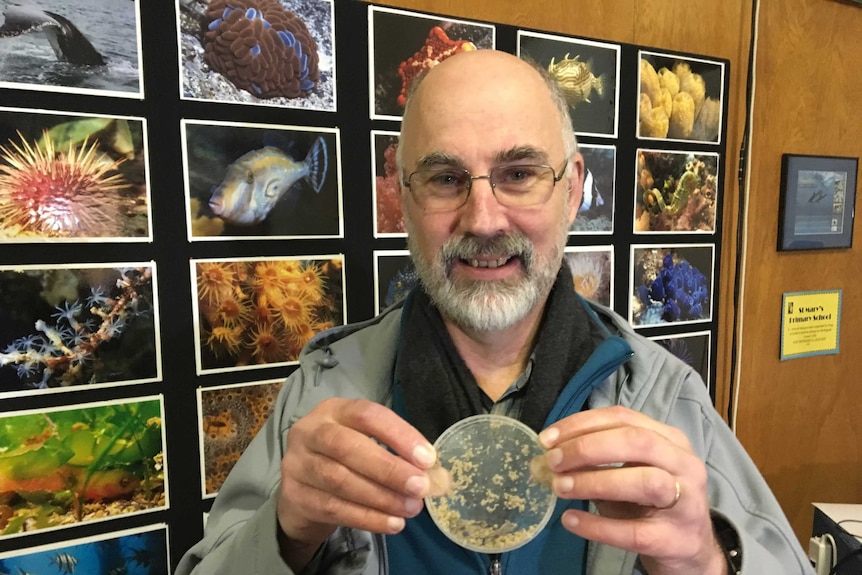 Jeff Weir holding a container of amphipods.