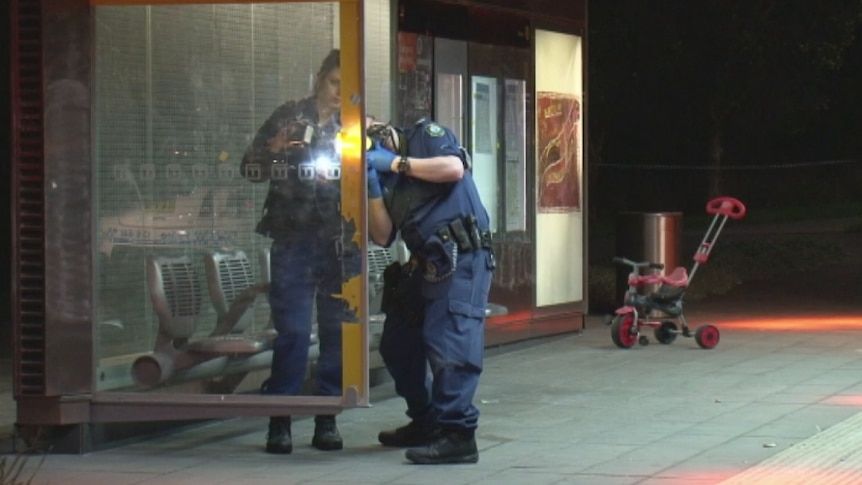 Police search Bonnyrigg Heights for a man and child