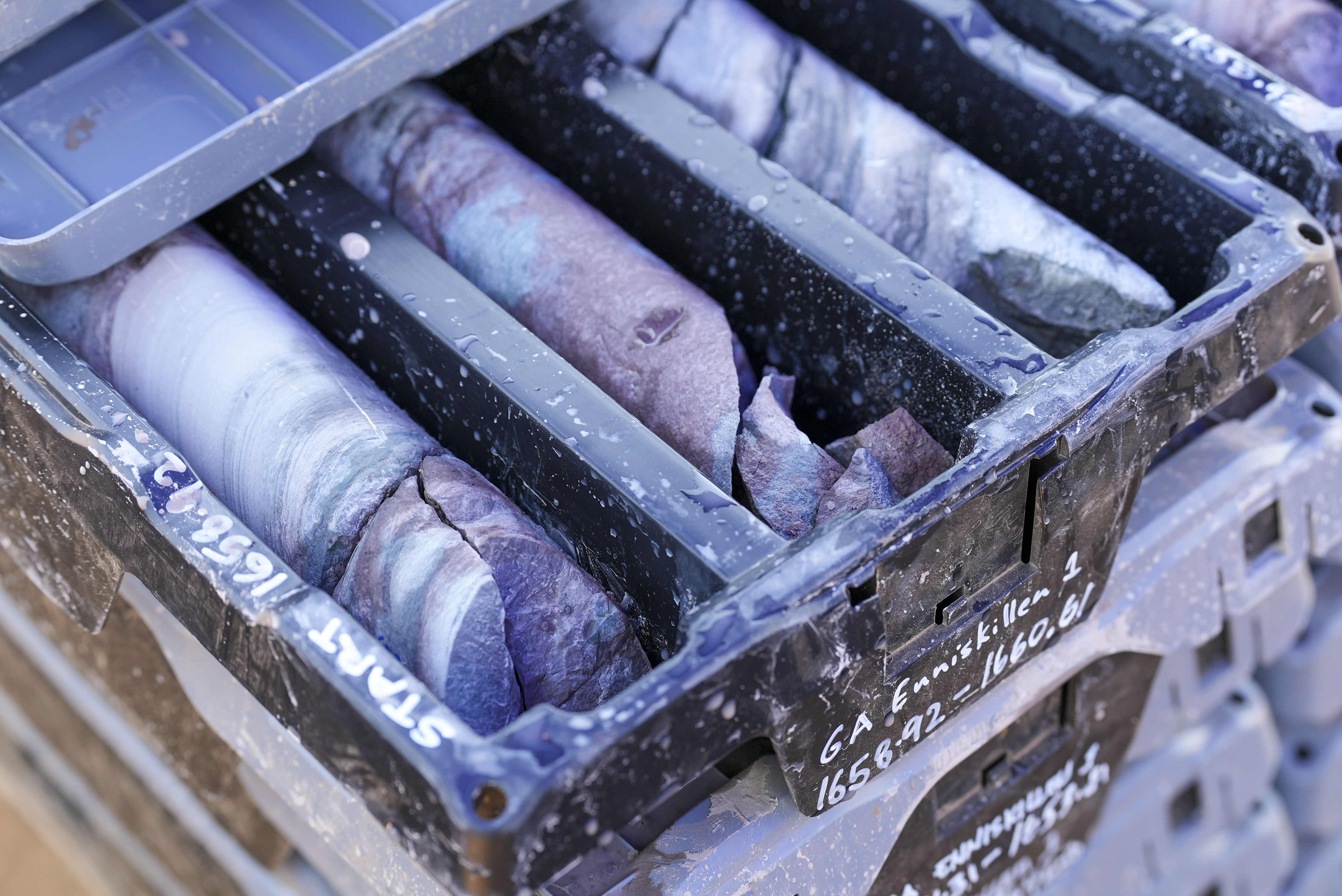 A plastic tub of cylindrical rock samples taken from deep in the earth's crust.