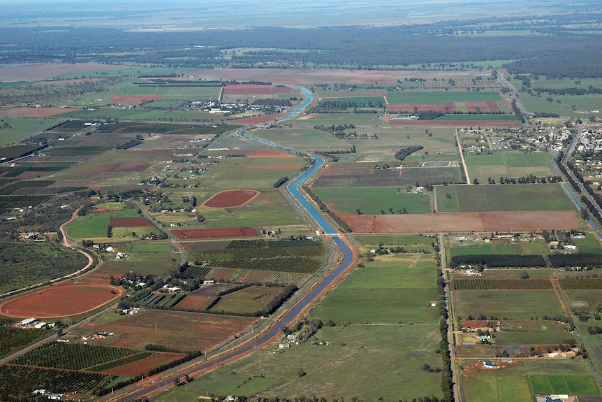 An aerial picture of farmland and an irrigation channel in the Murrumbidgee Irrigation Area in Leeton in south-western NSW