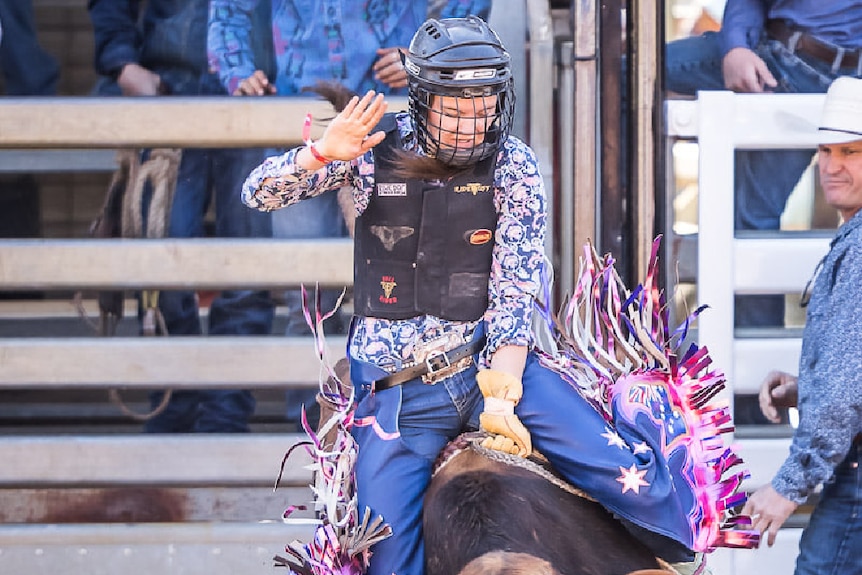 A cowgirl with brightly-coloured chaps rides a steer in the Mount Isa Junior Steer Ride.