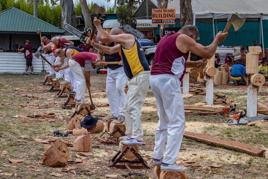 Woodchopping underway at a show.