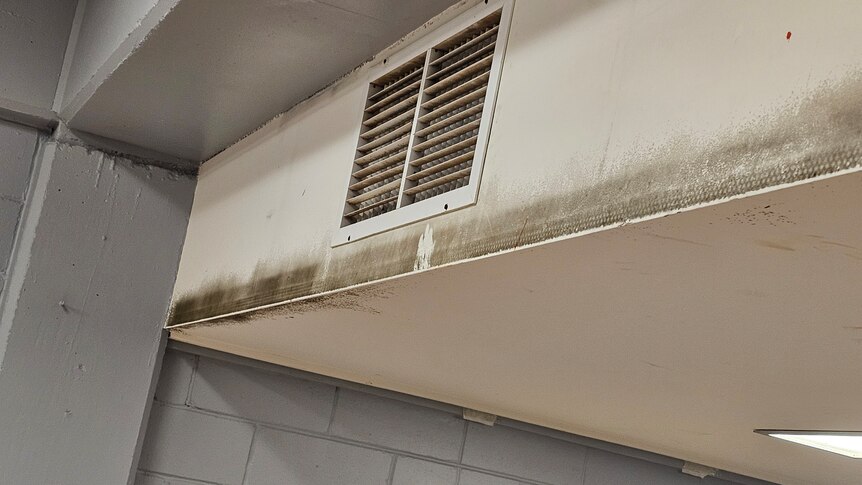 A ceiling inside a classroom with mould growth.
