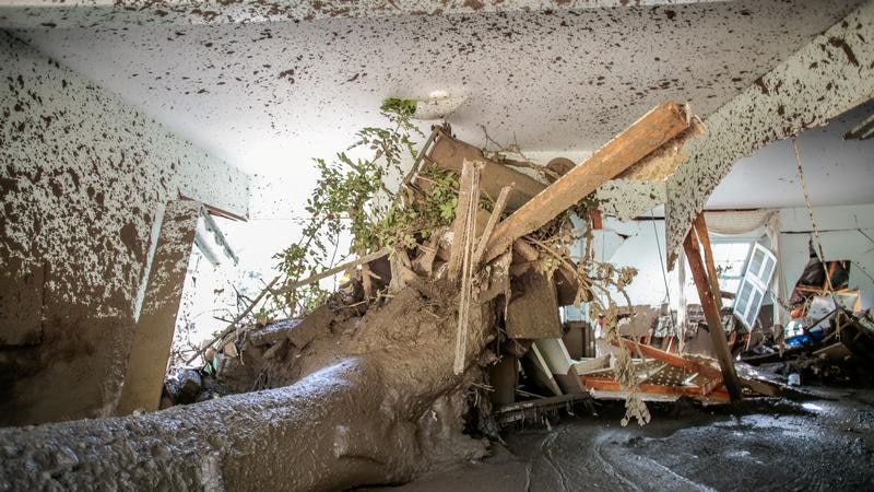 A tree trunk has crashed through a room and mud cakes the walls and floor
