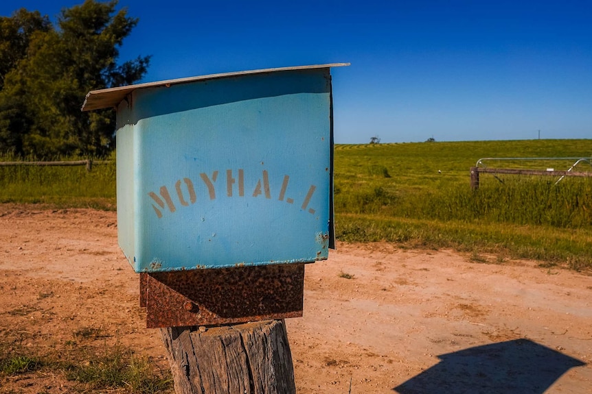 A blue tin letterbox with the word 'Moyhall' on it surrounded by paddocks and a dirt road.