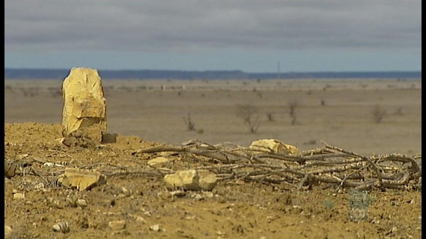 Crippling drought continues in some western Qld areas