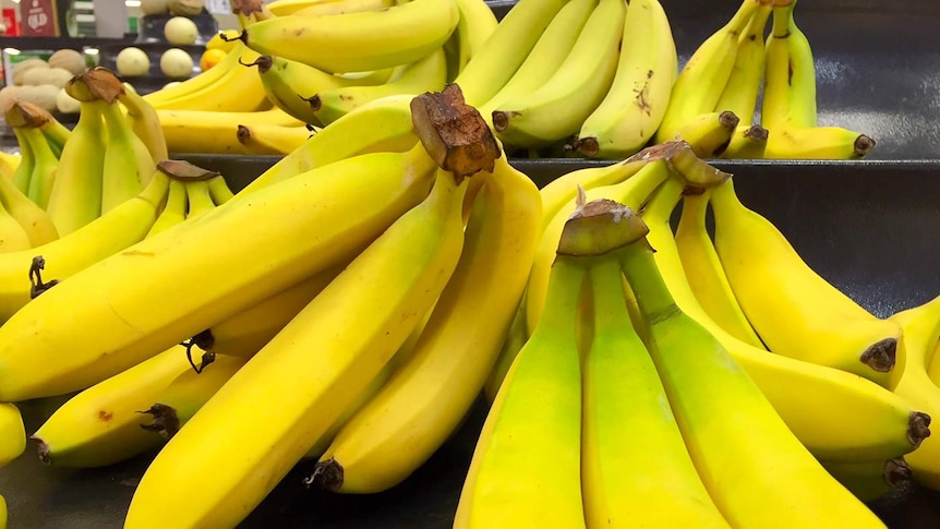 Bananas on a supermarket shelf.