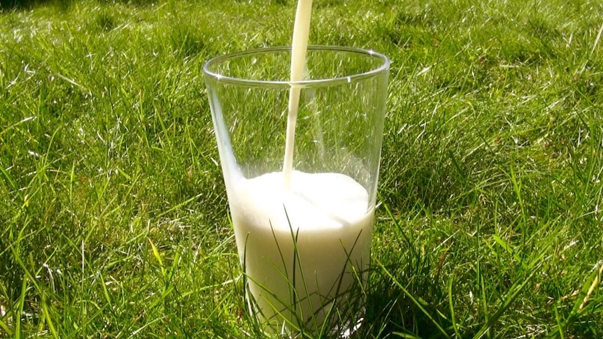 Milk being poured into a glass in a grass field