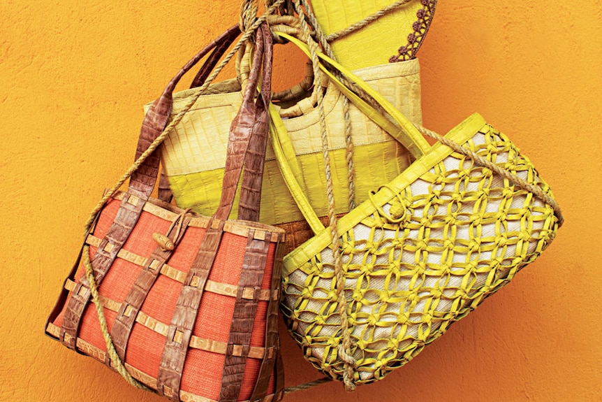 Exotic Skin Handbag Designer Nancy Gonzalez Charged with Smuggling and  Conspiracy - PurseBlog