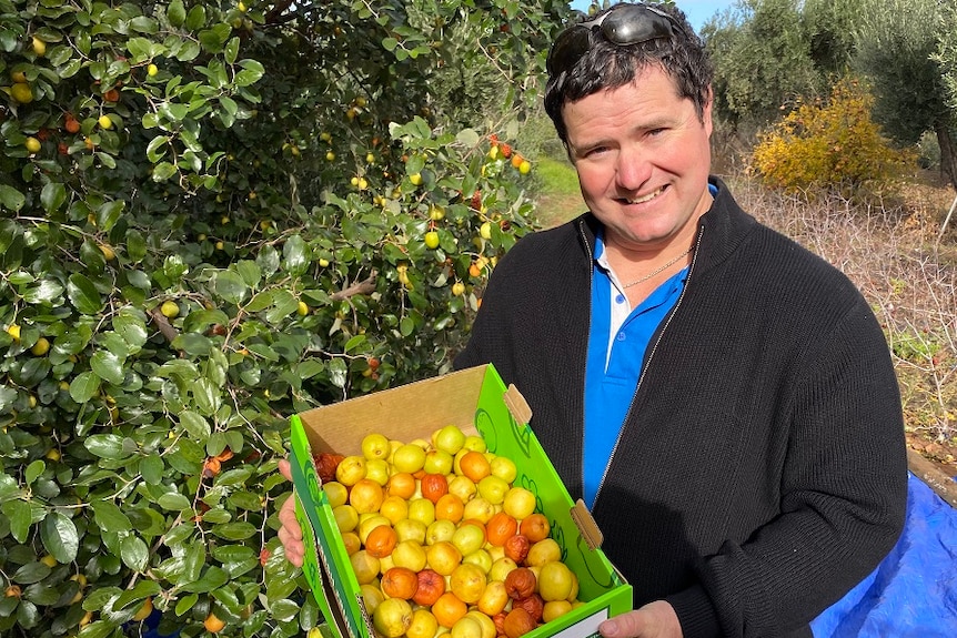 A man holding up a box of colourful jujubes on a farm.