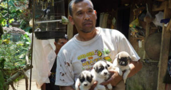 A man holds three puppies.