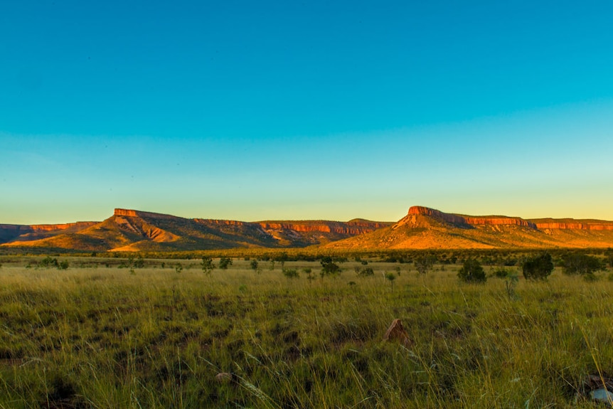 Cockburn Range