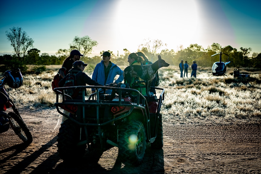 Five people and a farm dog are riding a quadbike towards a helicopter in a field, silhoutted by the rising sun.
