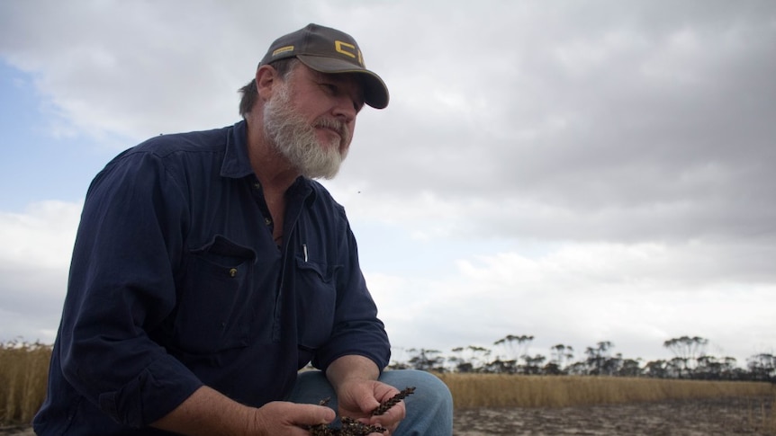 Grass Patch farmer Dan Sanderson in one of his wheat paddocks hit by the fires.