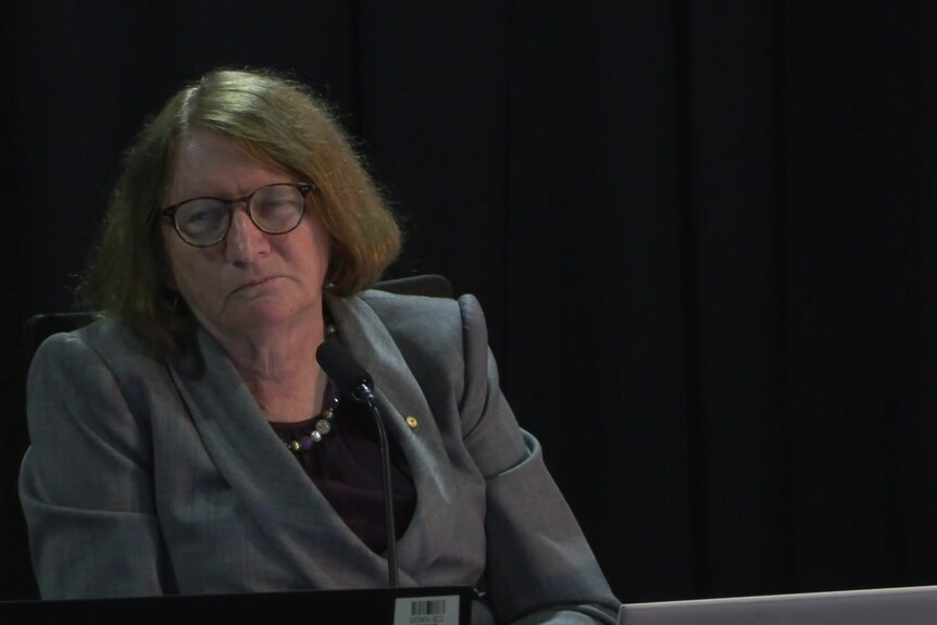 Robodebt Commissioner Catherine Holmes hearing royal commission